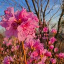 노을빛 풍경 이미지