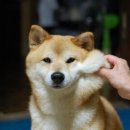 서영사