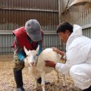 도전목장 이미지