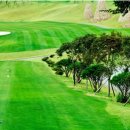 서산수골프앤리조트 이미지