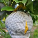 위리보건진료소 이미지