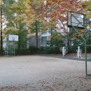 일신부동산중개사사무소 이미지