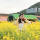 송악 이팝나무 네이버블로그