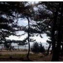 해돋이민박 이미지