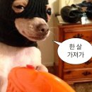 방배천로8-1 이미지