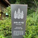 벽천농장 | [퍼스트 가든] 볼거리, 즐길 거리가 한가득인 가족여행 추천 장소