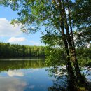 춘하추동밀면 이미지