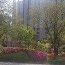 가재울 공원 이미지