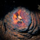 장어명가 이미지