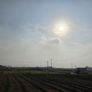 안심2농로 이미지