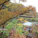 국립칠곡숲체원 이미지