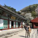 마이산마루