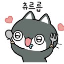 고양이미용 캣어스 이미지