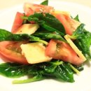 예가애견 이미지