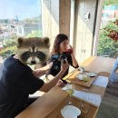 내 차 마시는 일상 &amp; 티룸/티마카세 추천 &amp; 제 콘텐츠 공개도 :) (좋댓구알 plz)