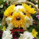 기타부부 이미지