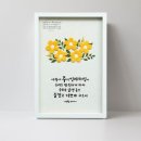 3553 쇼핑하우
