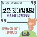 충북 보은 깃대캠핑장 : 조용한 소규모캠핑장 / 산뷰 강뷰 새소리 ASMR / 예약 쉬운 벚꽃캠 캠핑장...