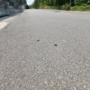 너른공인중개사사무소 이미지