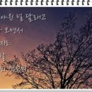 오송모아공인중개사사무소 이미지