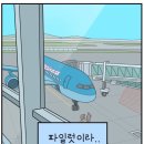 길고 길었던 5월도 끝이 나고