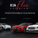 카 플렉스 이미지
