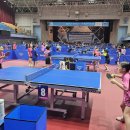 초등탁구1 이미지
