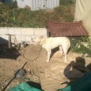 구억농장 이미지