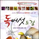 독버섯 이미지