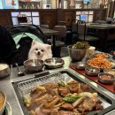 산촌숯불정 | 신중동 맛집 <산촌숯불정> -연말 모임 장소 추천 - 애견동반 후기