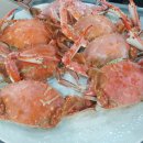 공주회수산