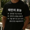 [2025.04.26-27]태민 콘서트 Ephermeral Gaze Finale 지방러의 올콘 후기 (시선콘 피날레)