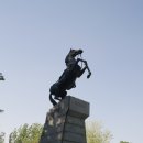 순천-76호 이미지