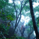 오색초등학교 이미지