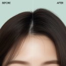 루트 11 | 쳐지는 스타일 고민 샴푸 추천 탈모샴푸 두피샴푸 볼륨샴푸 추천 [루트헤어 세라리프 베리어 클리닉 샴푸]