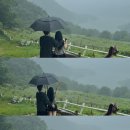 아미모텔 | 많은 꽃봉아리들중 첫 번째 꽃이 피었다