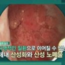 다큐플러스