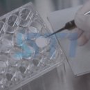 (주)에스티원 이미지