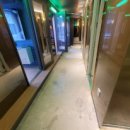 악쓰는 하마 이미지