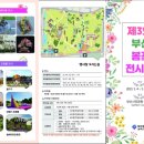 봄꽃체험코스 이미지