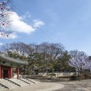 용산-105 이미지