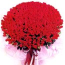 한바람이 이미지