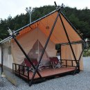 편백향기 이미지