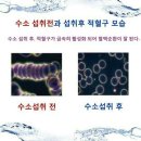 토르마린저온찜질방 네이버블로그