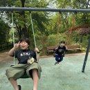 용인대 동양합기도 이미지