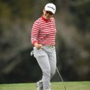 앨리스골프클럽 이미지