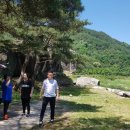 장풍숲화장실 이미지