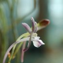 정이네유통 이미지