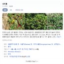 루럴팜