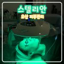 스텔리안 | 오산 피부관리 오산 신부관리 스텔리안 후기